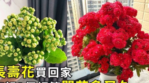 携程拿去花怎样提现 平台的钱