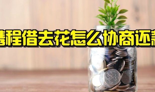 拿去花的额度怎么用