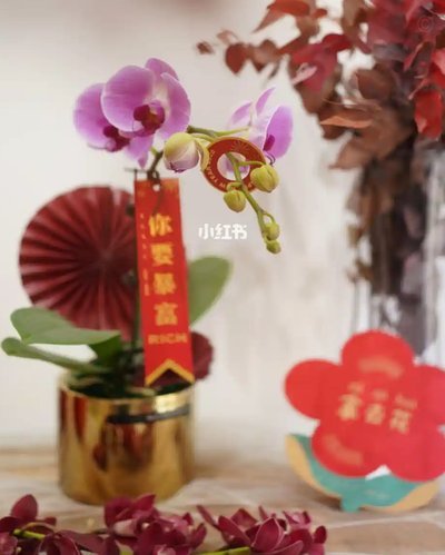 去哪拿去花怎么用