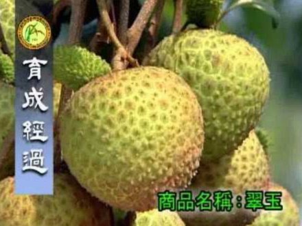 便荔卡包额度怎么取出来