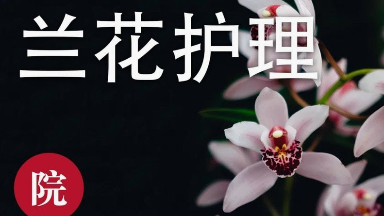 花呗兑现商家 怎么操作