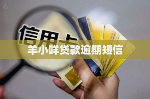 羊小咩贷款公司怎么找