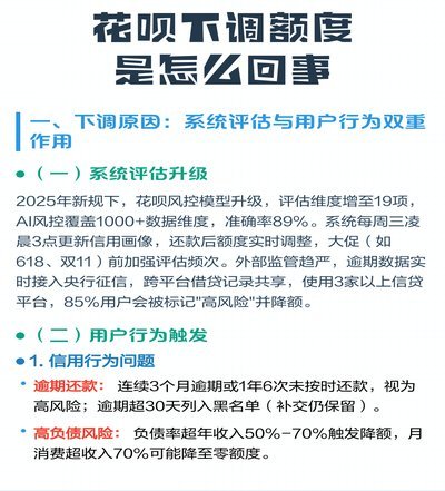 套花呗属于什么行为