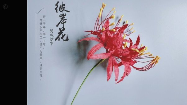 花呗：重塑消费信贷新时代