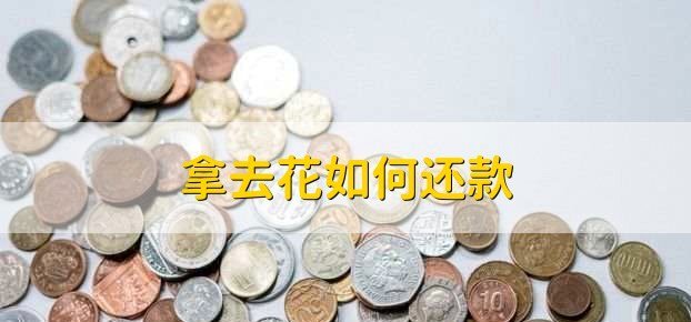 携程拿去花：让旅行更自由自在