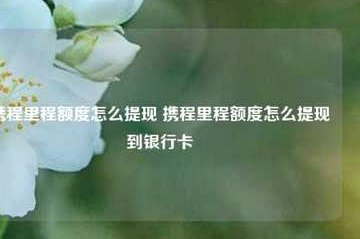 携程拿去花取现多久能到账？详解资金结算的周期逻辑