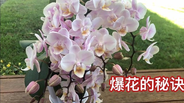 花呗分期套现平台怎么样