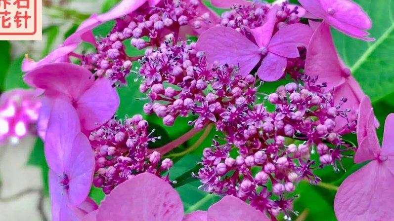 花呗提现怎么办？