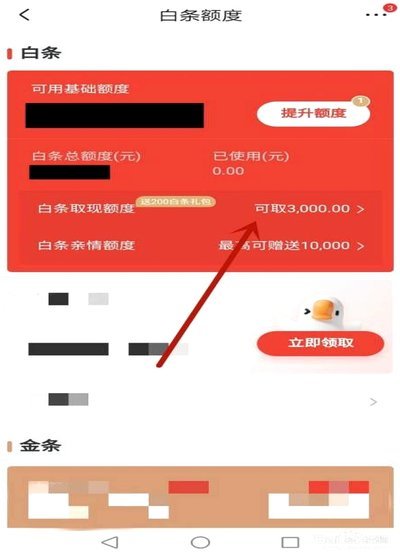白条资金提取技巧：教你高效周转额度