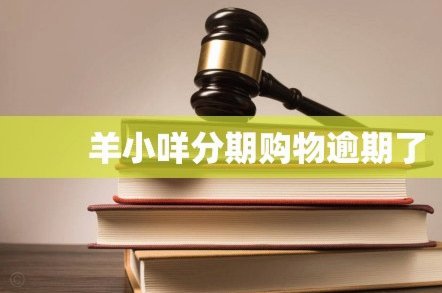 羊小咩可以买东西吗