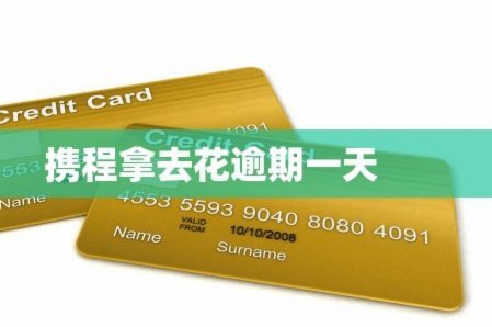 携程拿去花怎么关闭