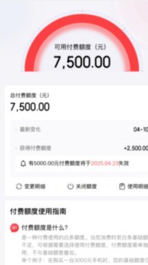 白条付费额度怎么套 套里面的钱