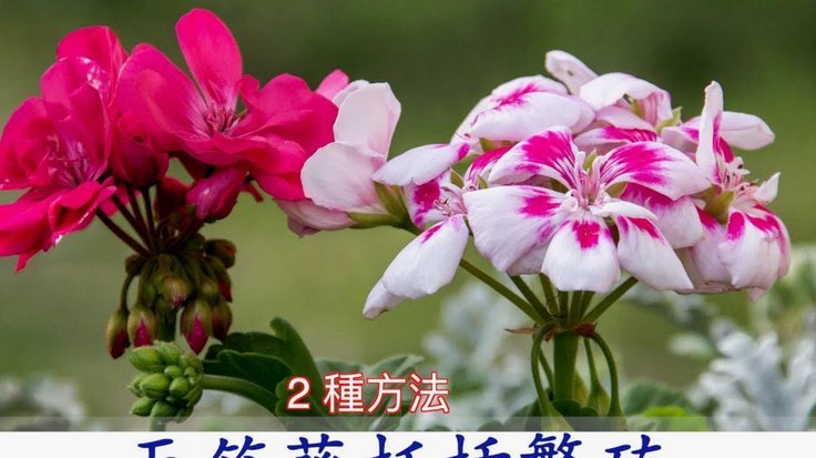花呗的出现意味着什么
