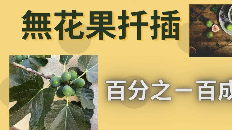 花呗的出现意味着什么