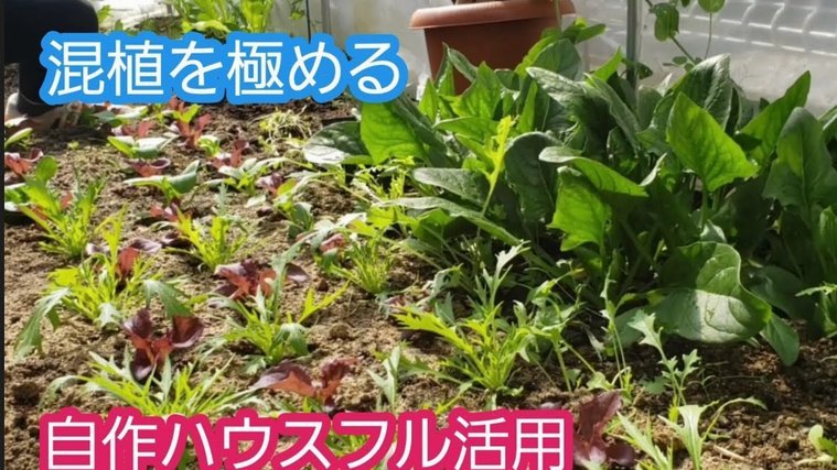 得物app余额提现不了