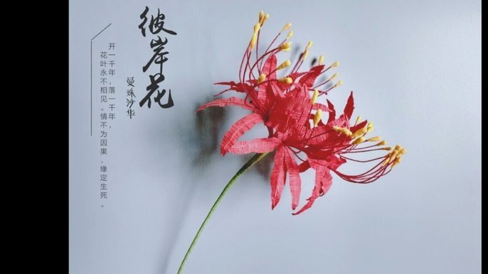 怎么套拿去花