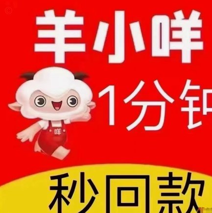 深度揭秘：羊小咩借款流程的算法与风险点