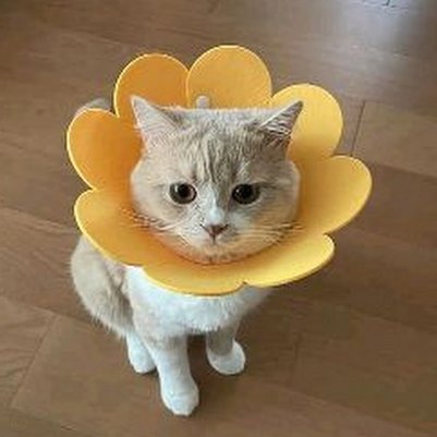 花呗天猫秒套 出来怎么还款