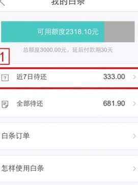 白条逾期怎么协商延期 平台还款