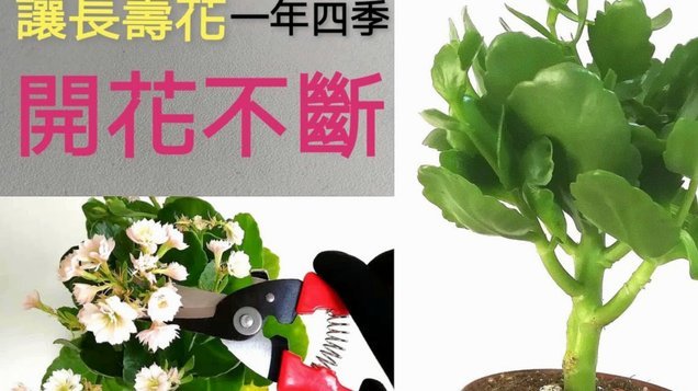 一次性还清携程拿去花怎么操作