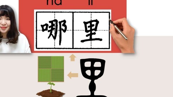 白条用在哪里？
