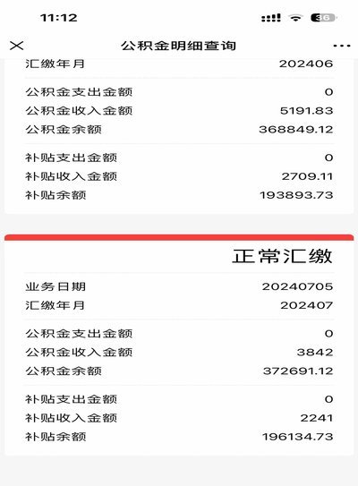 白条加油额度秒到：透视高效支付背后的技术与金融逻辑