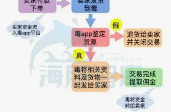 得物交易异常怎么办？实战解决流程指南