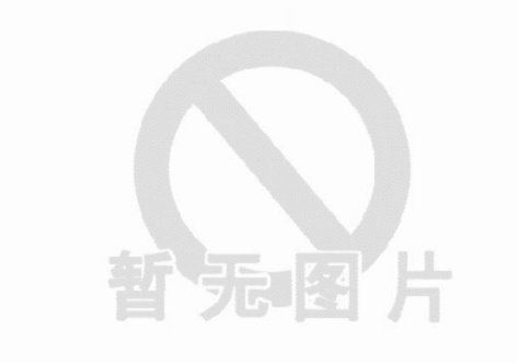 羊小咩的额度从何而来