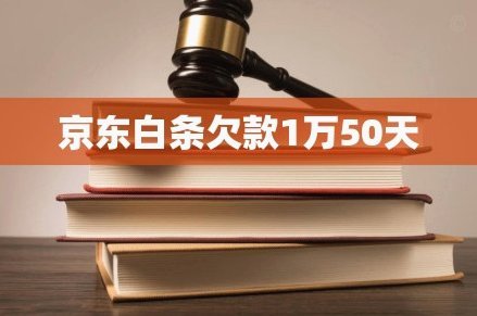 白条逾期了可以协商宽限期吗