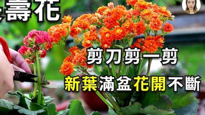 花呗经常光顾怎么不能付款了