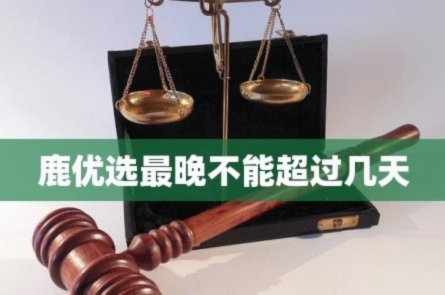 鹿优选额度如何合理利用