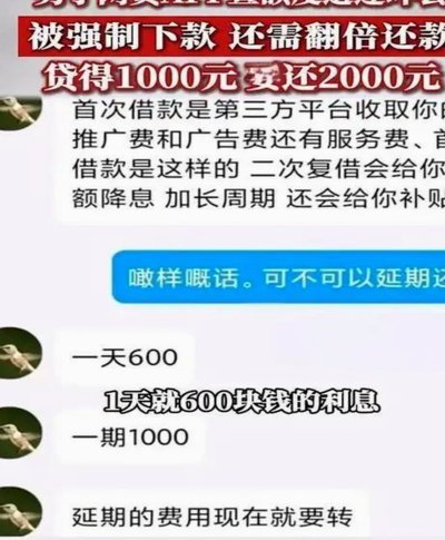 羊小咩未来可期？