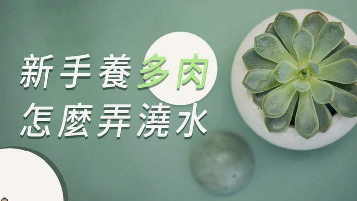 得物取现商家 出来要多久