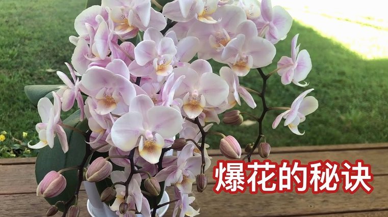 花呗资金使用：合法理财避风险