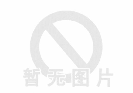 白条怎么套出来正规方法