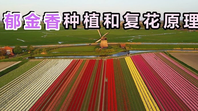拿去花 取现