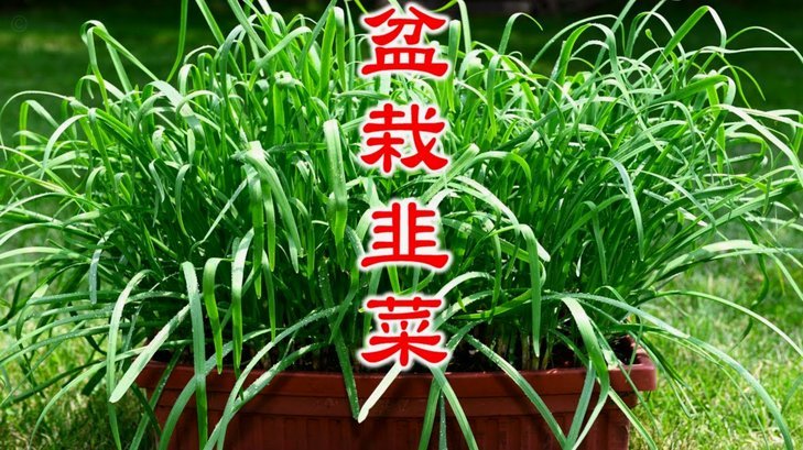 揭秘花呗套现的真相与风险