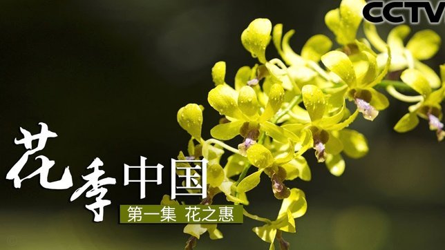 花呗什么情况下会被冻结