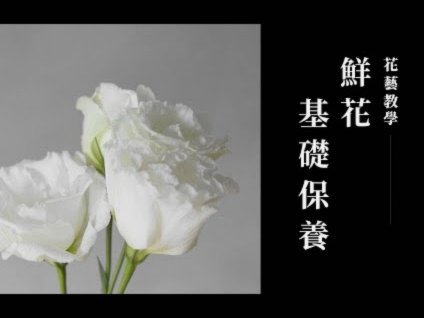 花呗怎么提现花呗