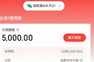 白条取现当天到账吗 取现多久