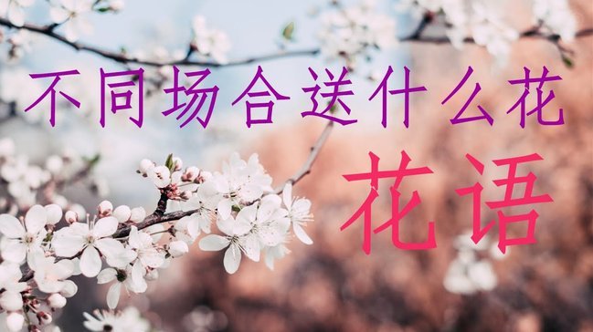拿去花能变现吗？解析花艺作品的市场价值